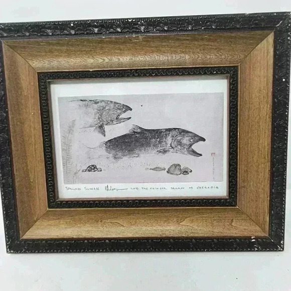 Salmon framed print